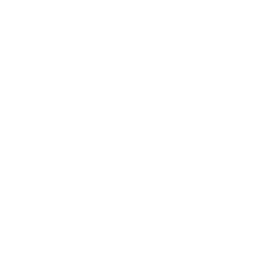 100 year logo
