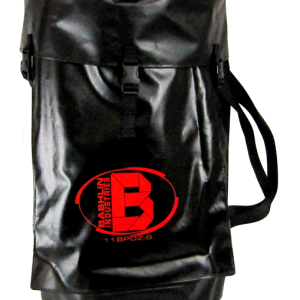 11BPDZ B web