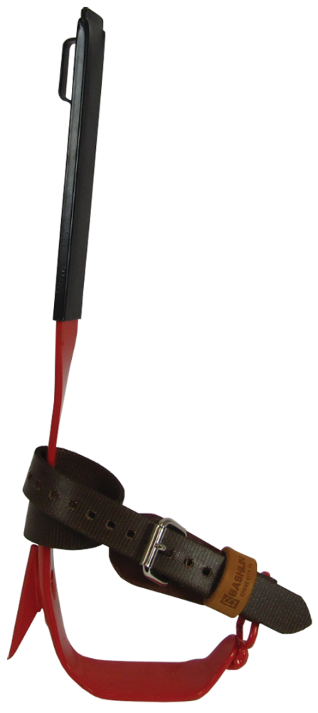 BD12C
