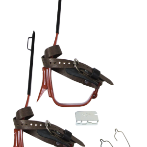 BD16B 1N