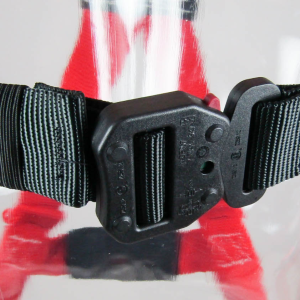 DEQ Buckle