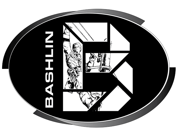 Bashlin Logo